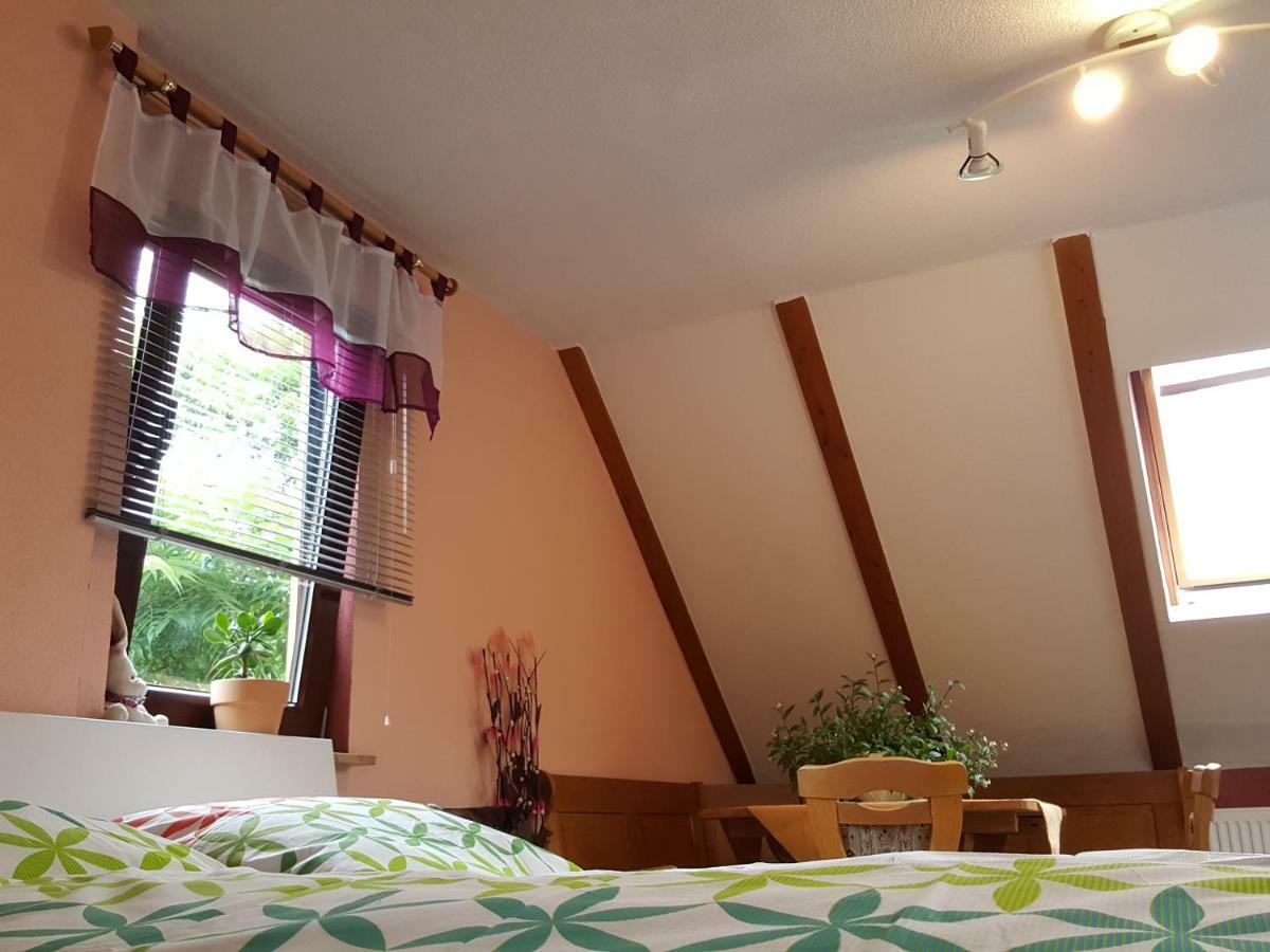 Ferienhaus Am Kirchberg Kurort Steinbach-Hallenberg 외부 사진